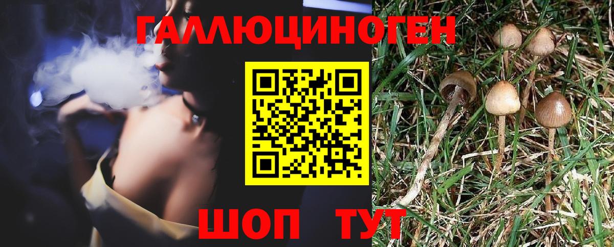 Галлюциногенные грибы Magic Shrooms Йошкар-Ола