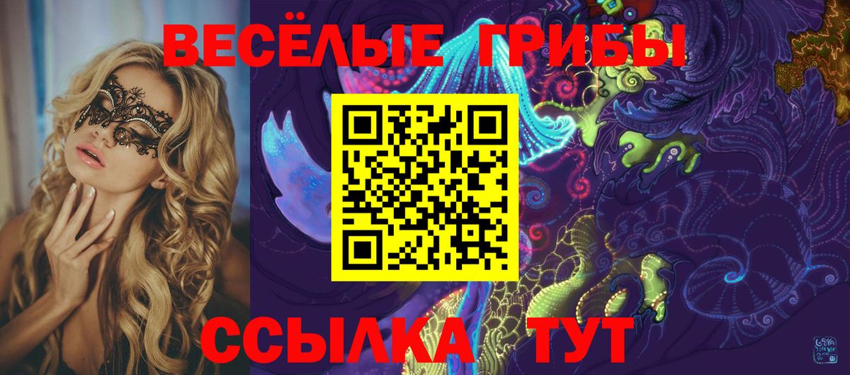 как найти   Галлюциногенные грибы MAGIC MUSHROOMS  Вход с VPN  Галлюциногенные грибы Cubensis  Йошкар-Ола 